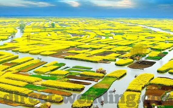 m足球比分直播-实时掌握赛场风云，M足球比分直播——球迷的掌上观赛神器